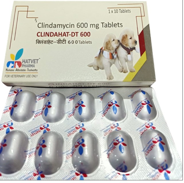 Clindamycine 600 mg Veterinary Tablets