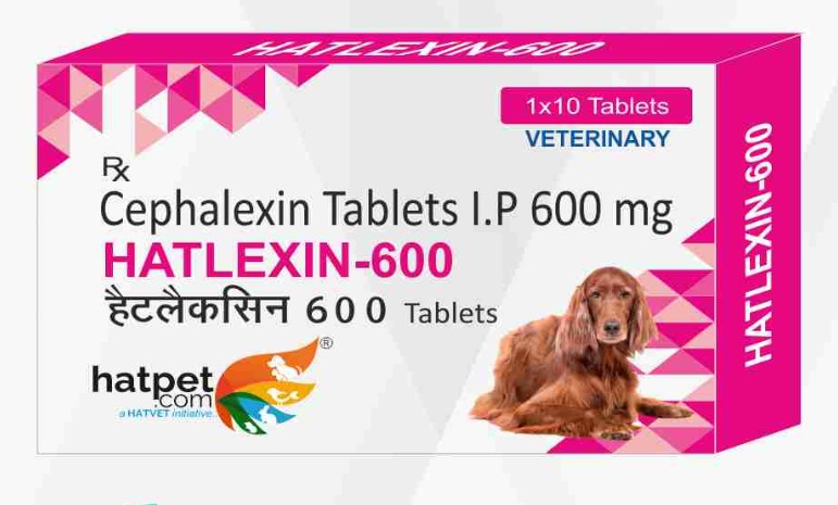 Hatlexin-600 Cephalexin Tablets 600mg