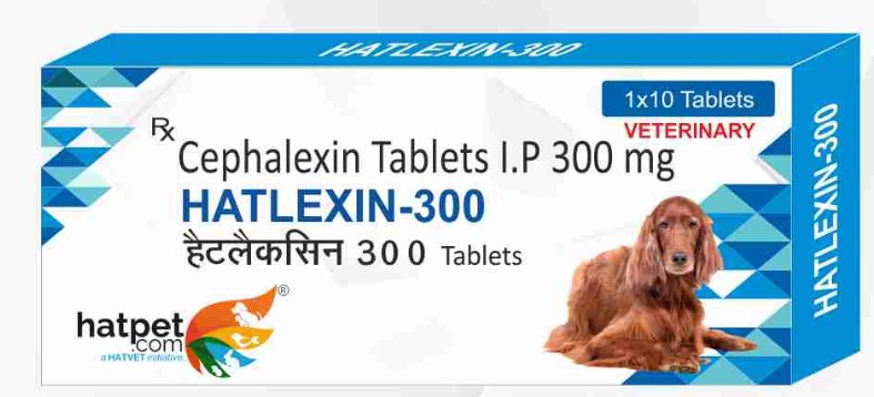 HATLEXIN-300 Cephalexin Tablets