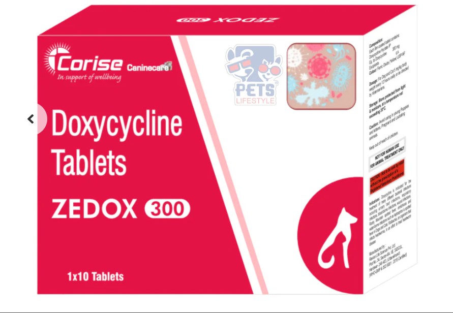 Zedox 300 Doxycycline Tablets