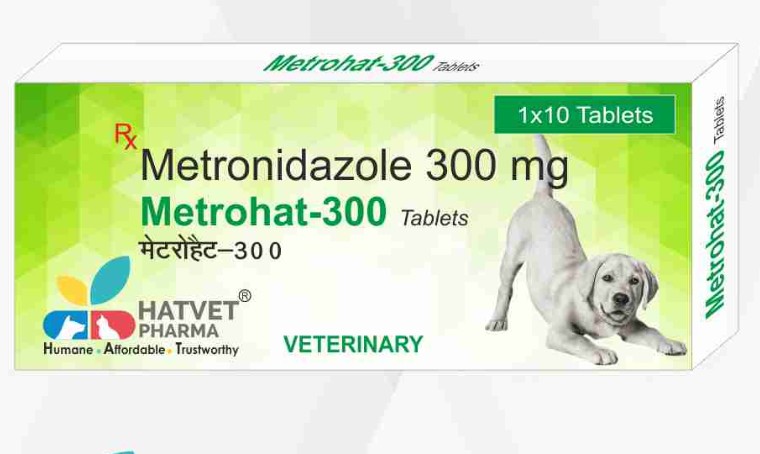 Metrohat-300 Tablets