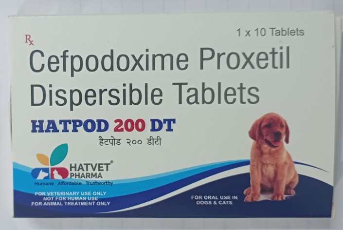 Cefpodoxime Proxetil Dispersible Tablets