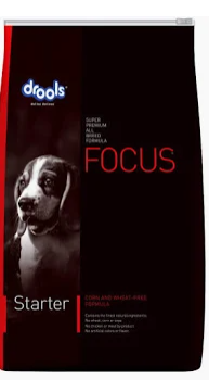Drools Focus Starter