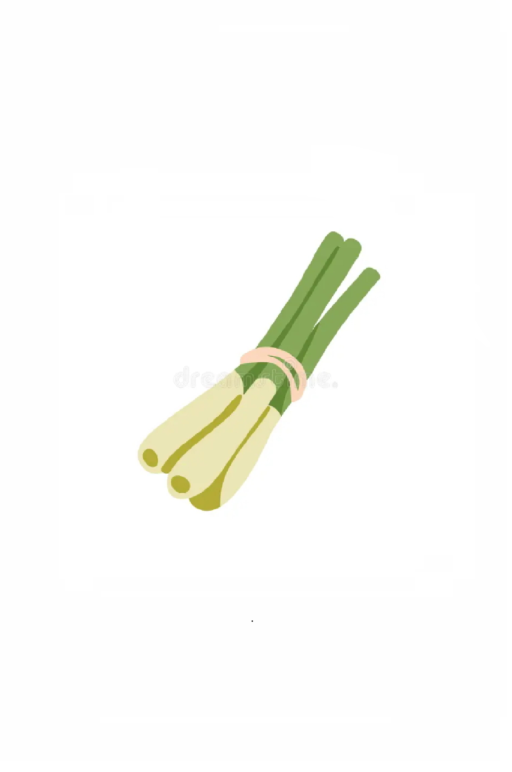 GREEN ONION CREAM CHEESE