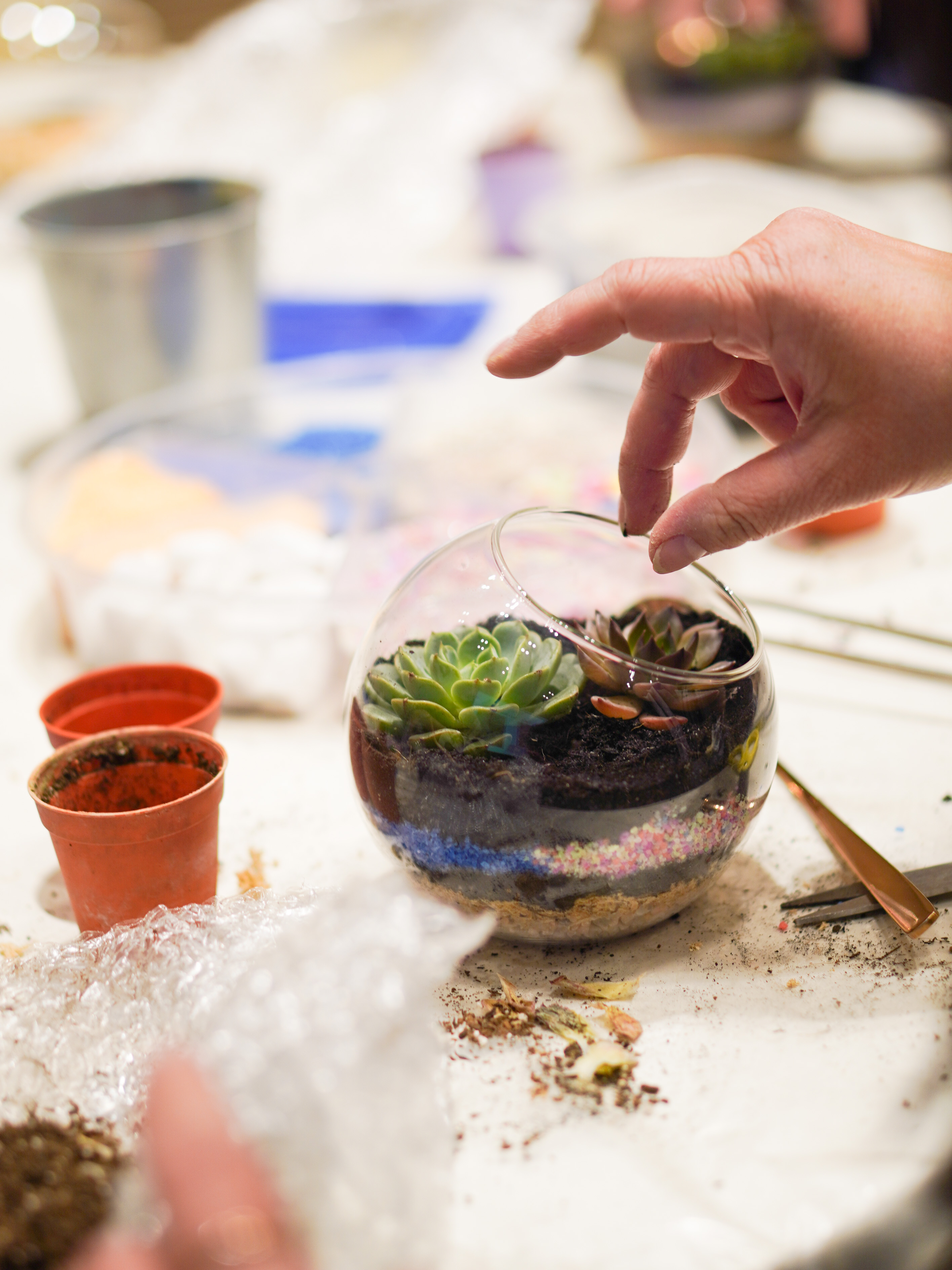 Terrarium Workshop