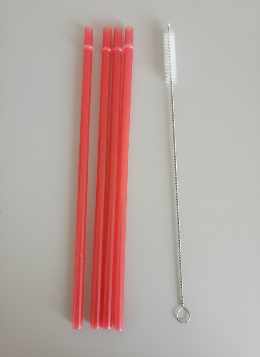 Pailles Réutilisables 