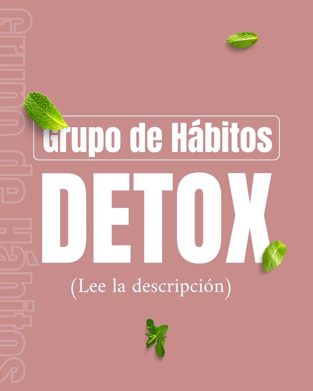 PLAN DETOX MODE