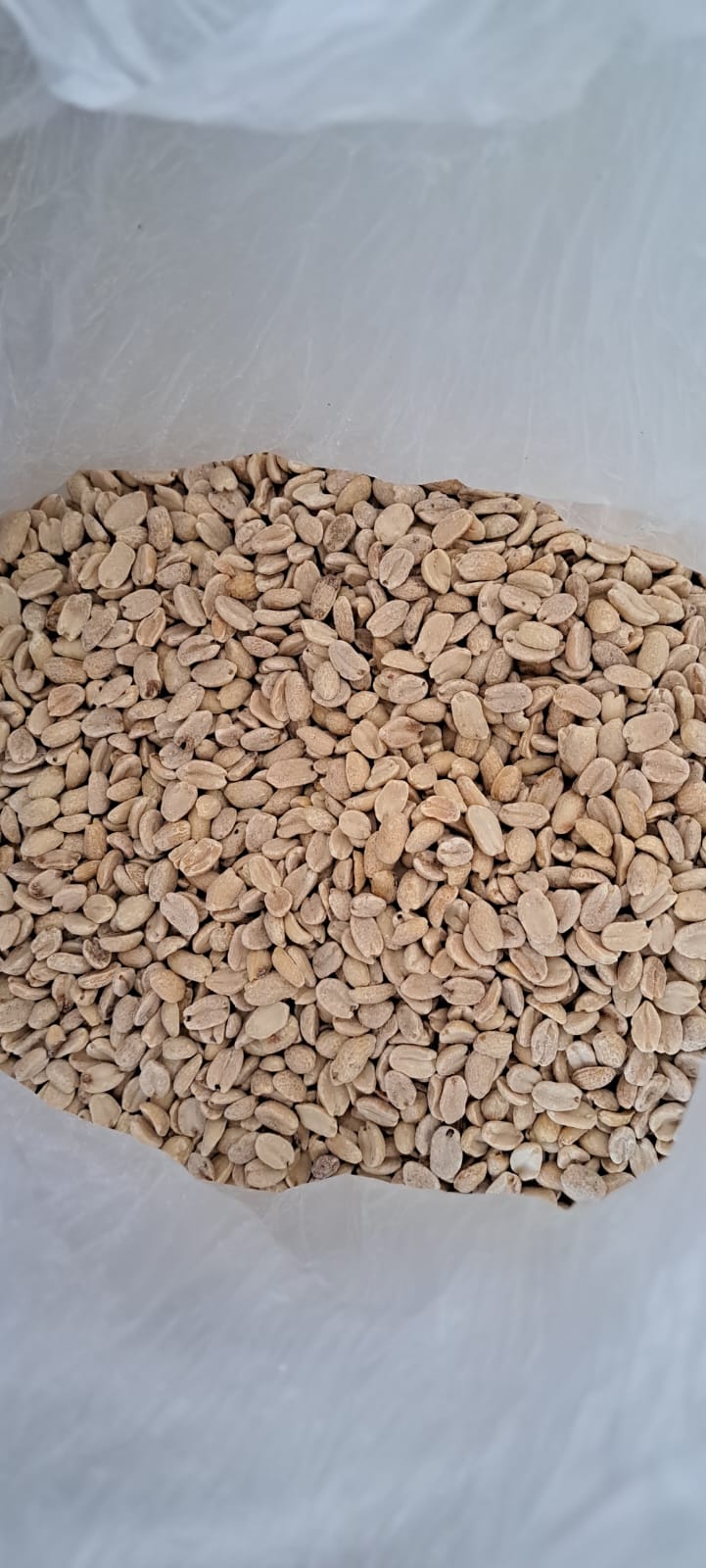 Maní Pelado Natural – Con o Sin Sal