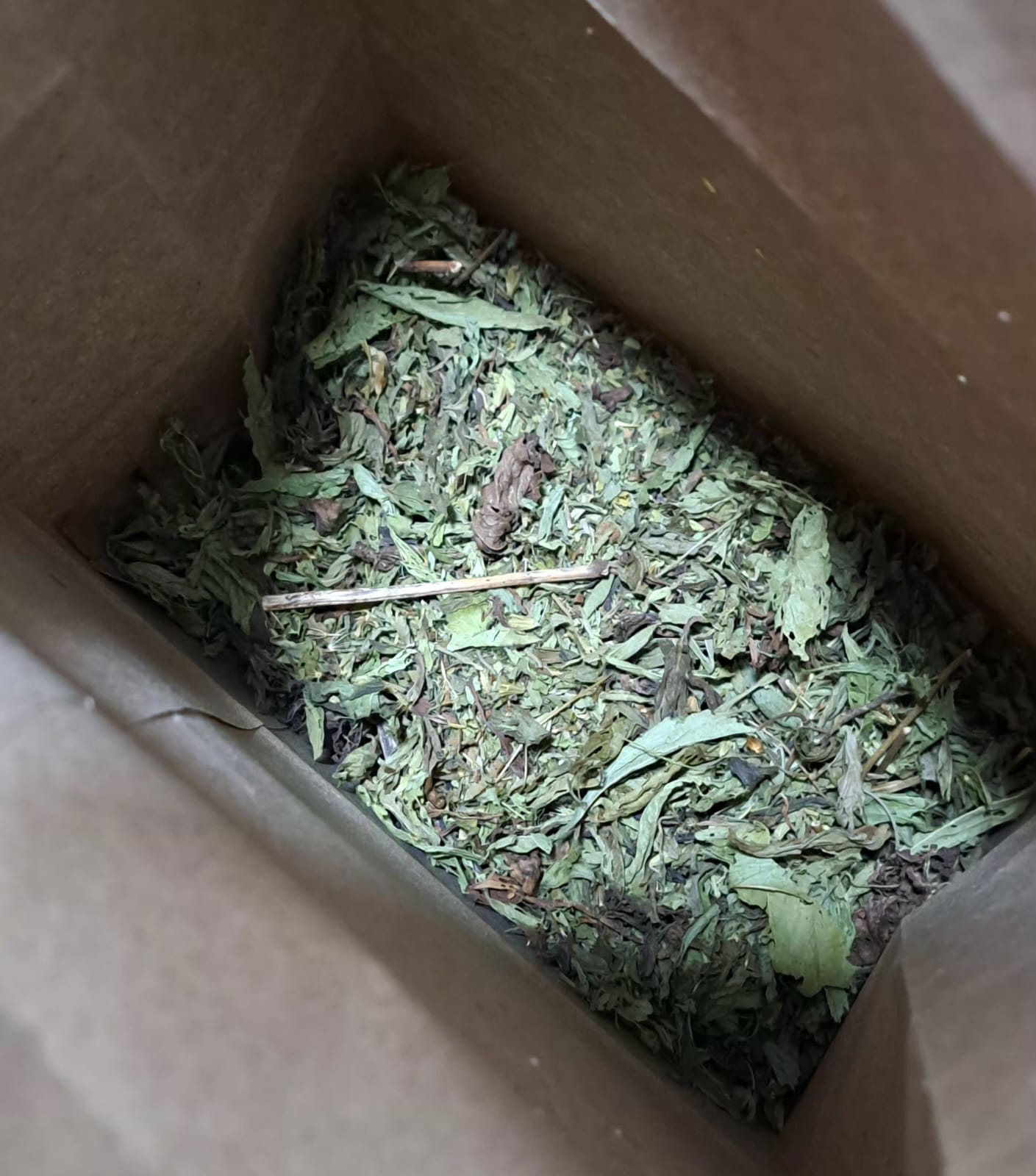 Stevia x 100gr 