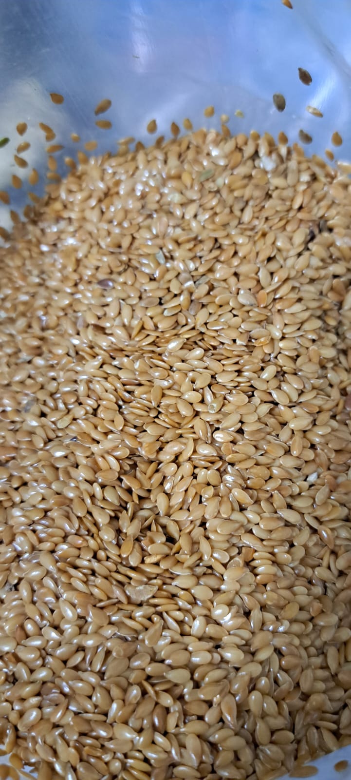 Semillas de lino dorado x300gr