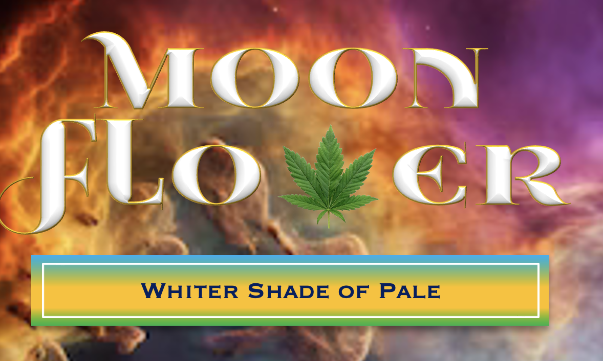 WHITER SHADE OF PALE