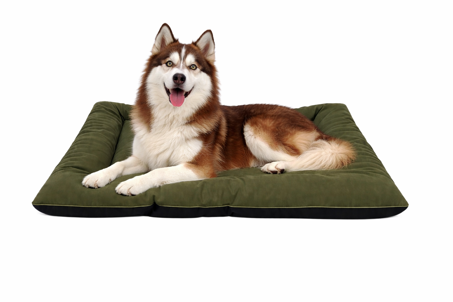 Cama antidesgarro talle 3