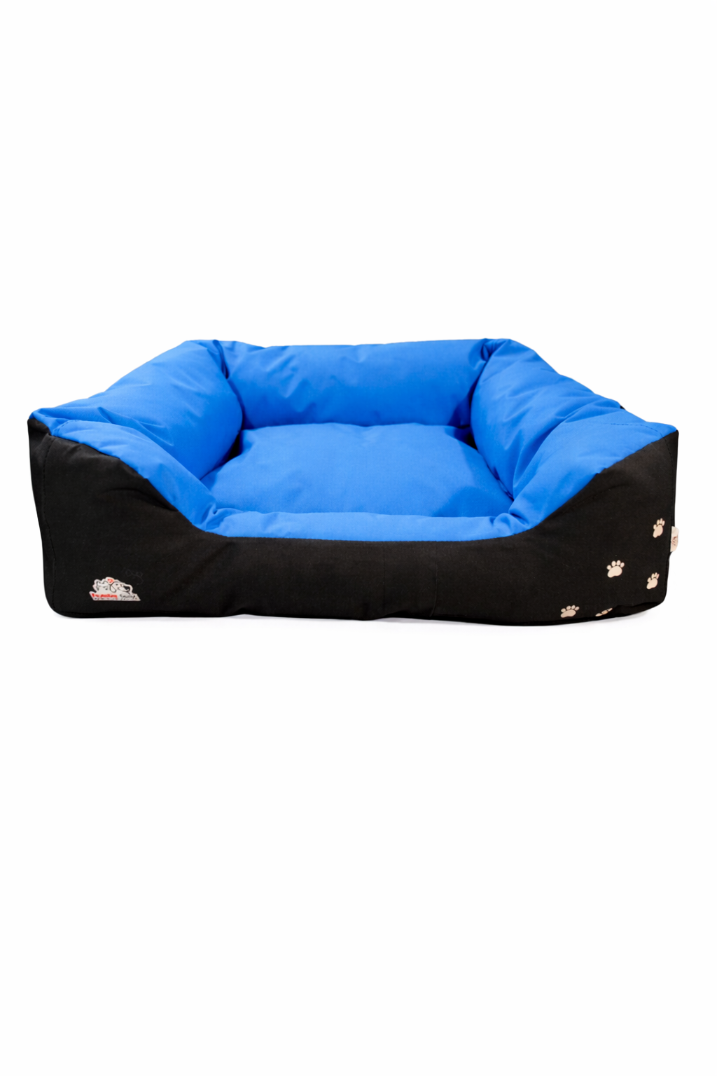 Moisés grande antidesgarro