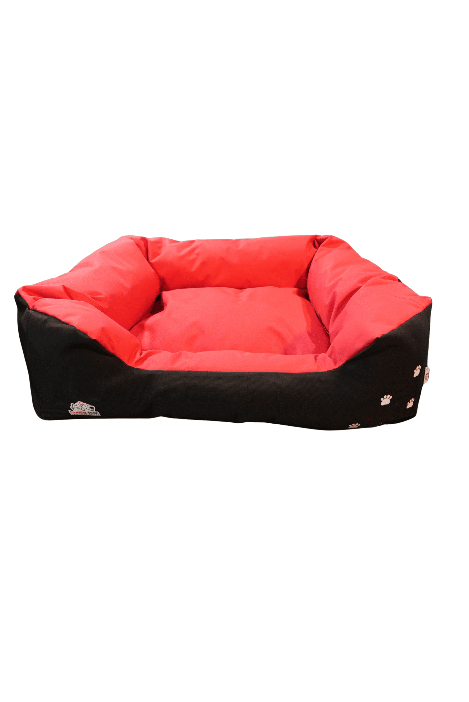 Moisés grande antidesgarro