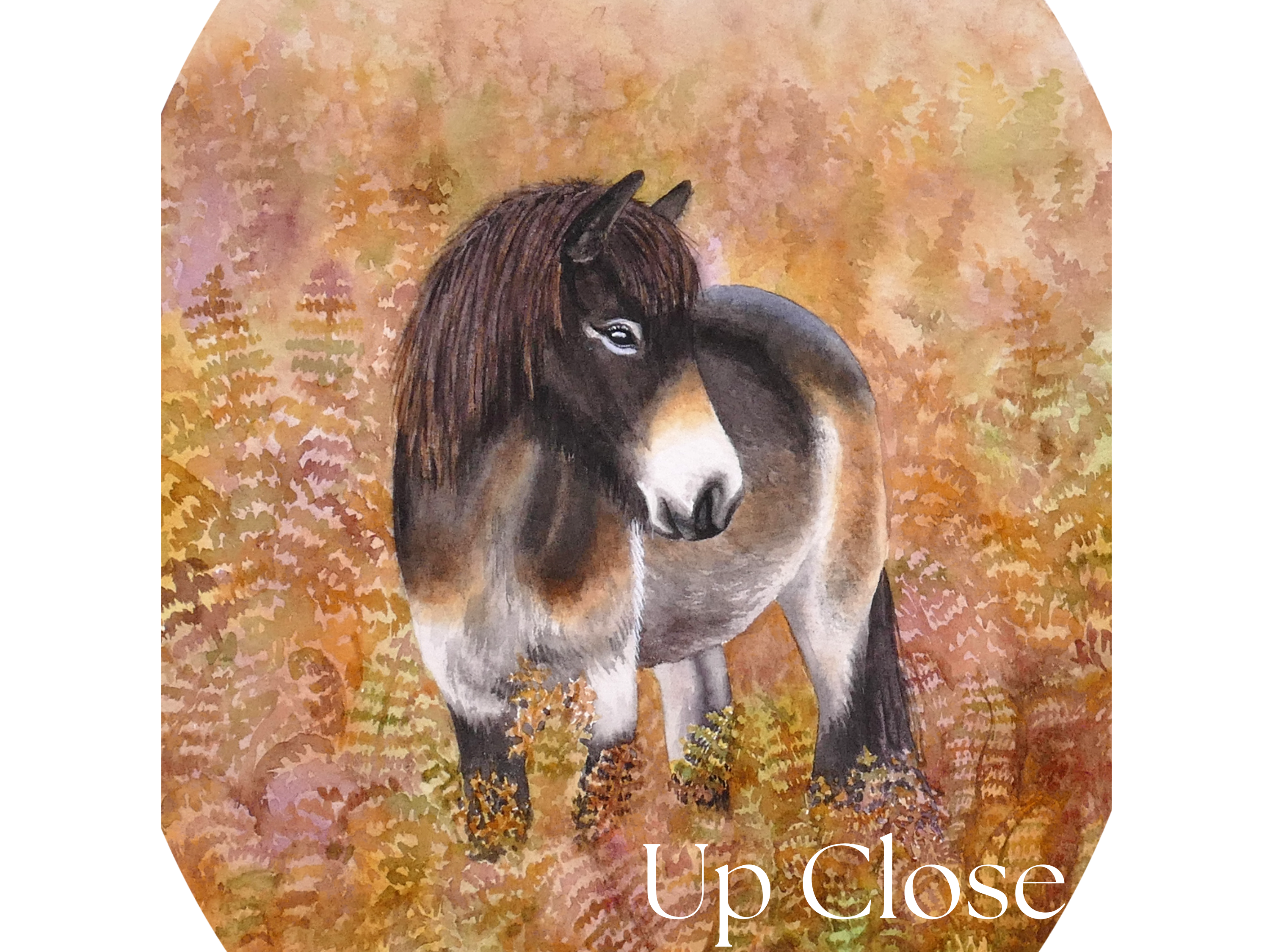 Icelandic Horse Among the Ferns