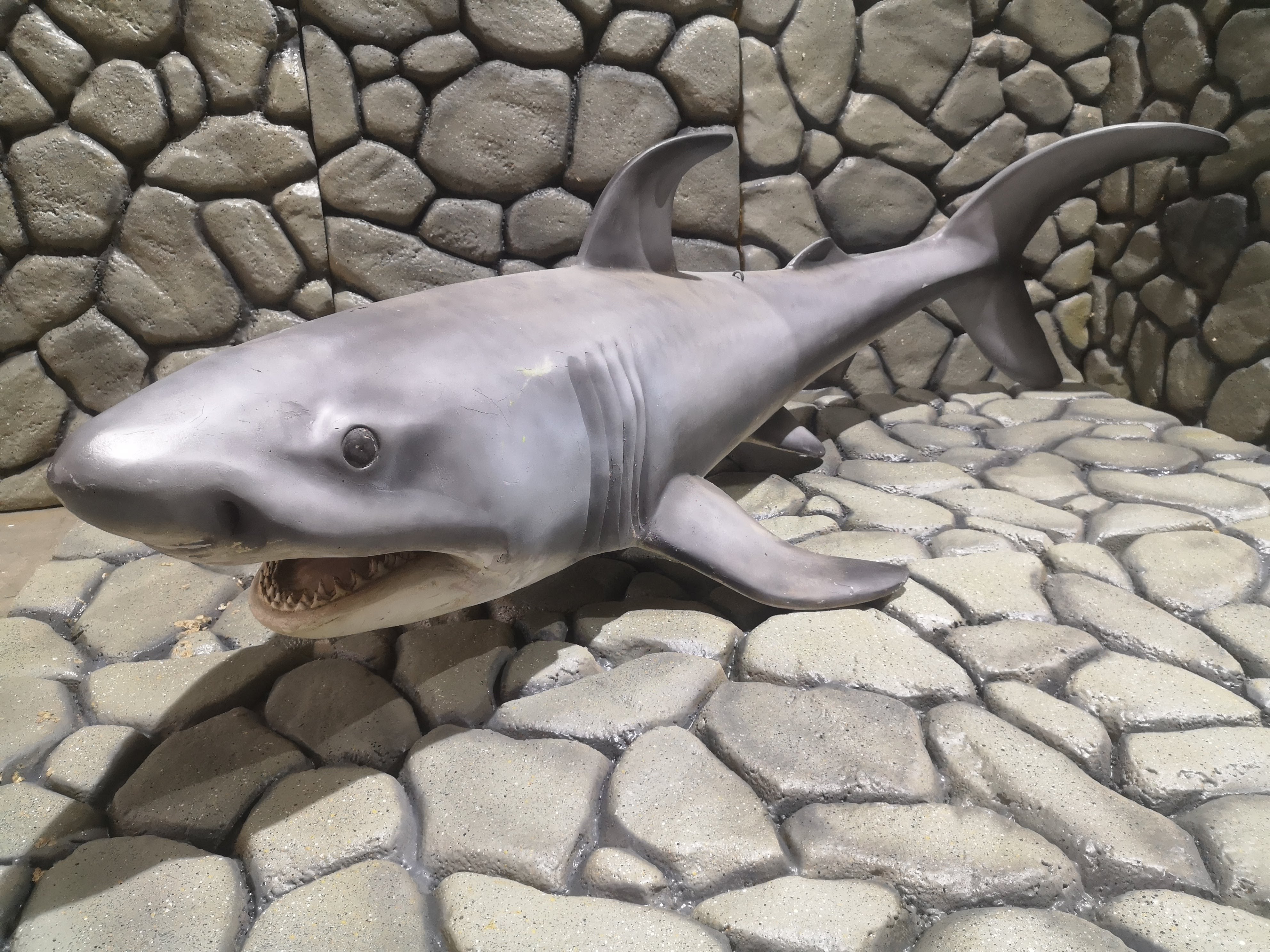 Figura de Tiburón Realista