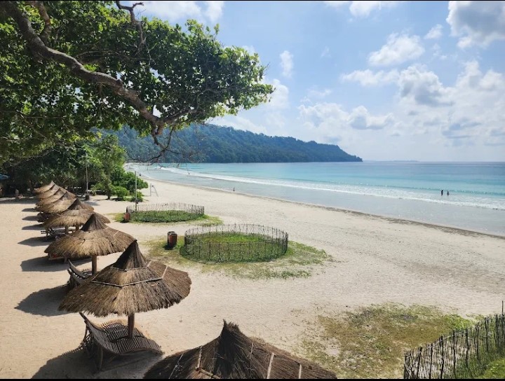 Luxury Suite Cottage