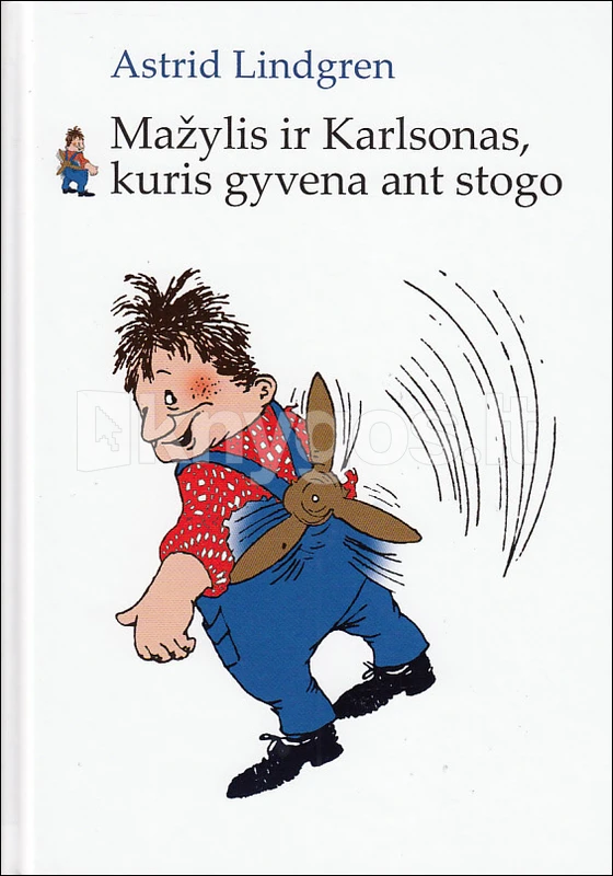 Knygos nagrinėjimo kortelės