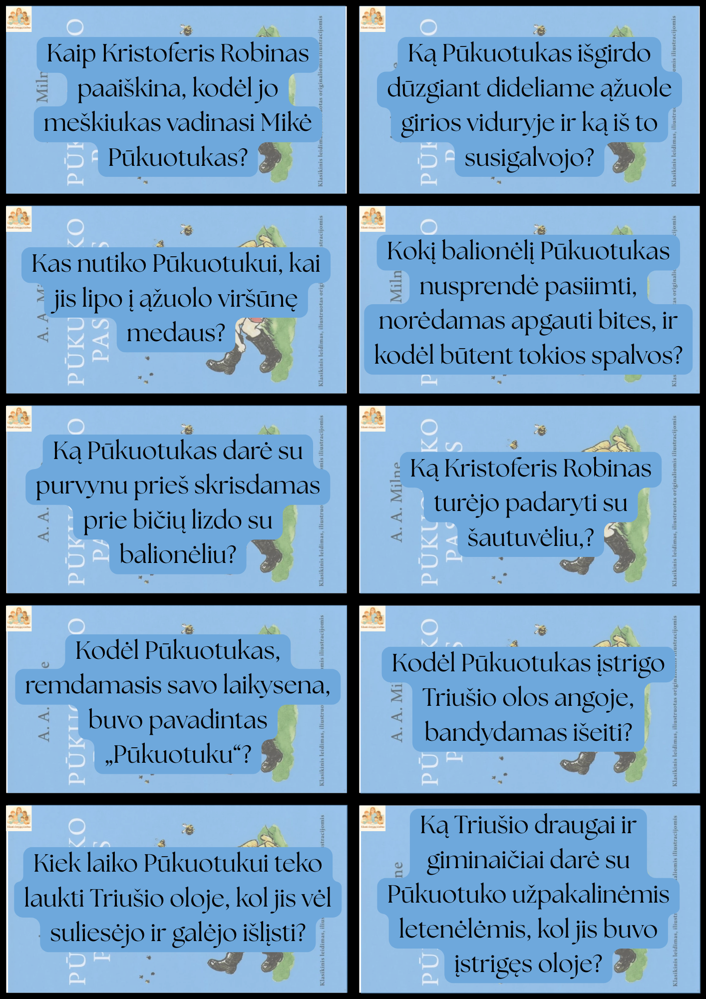 Knygos nagrinėjimo kortelės