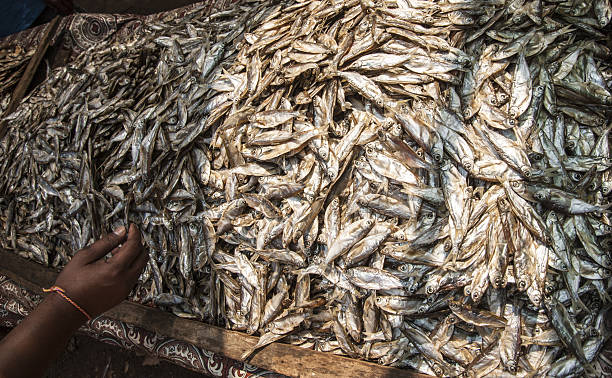 Poisson fumé séché