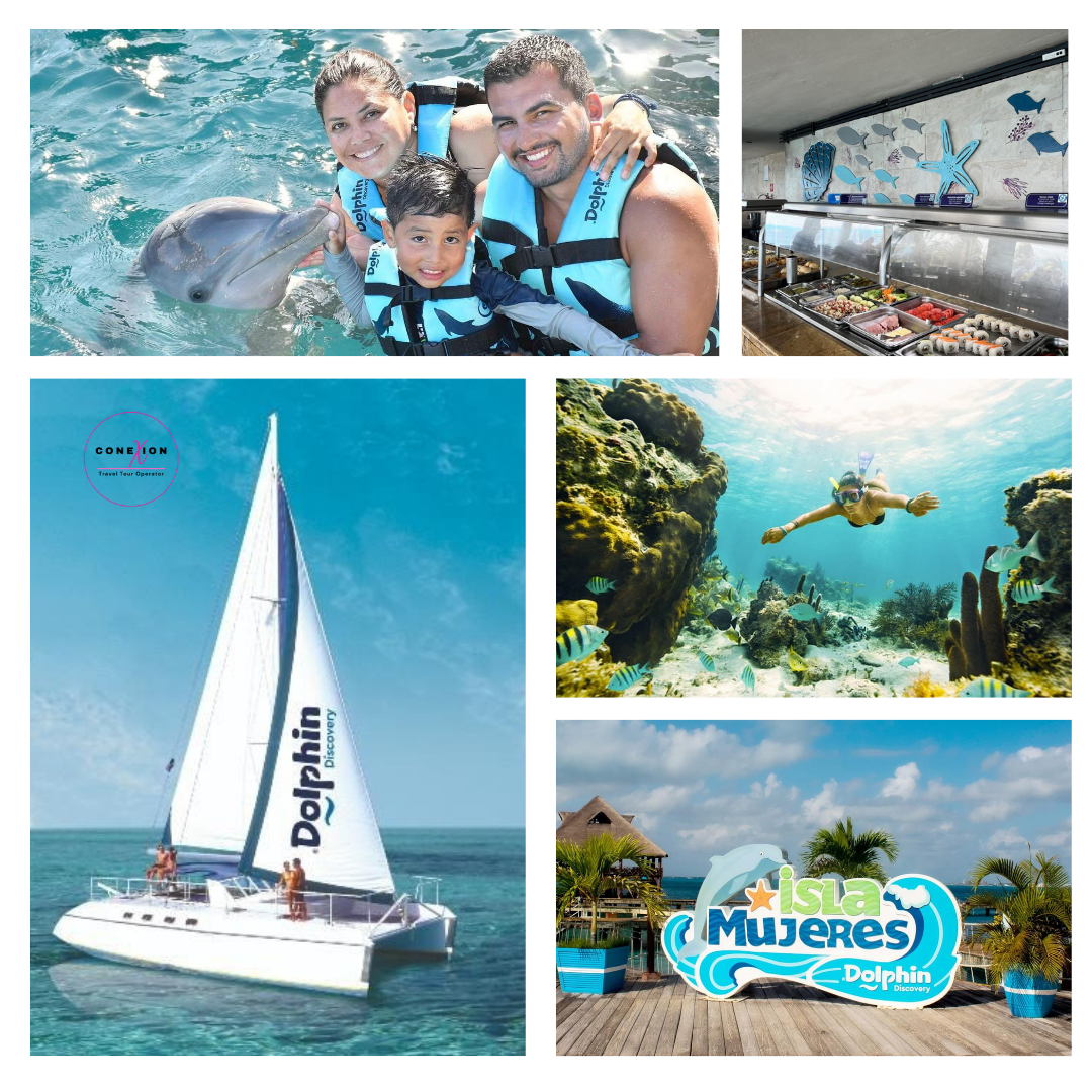 Catamaran + Dolphin Encounter at Isla Mujeres, Cancun