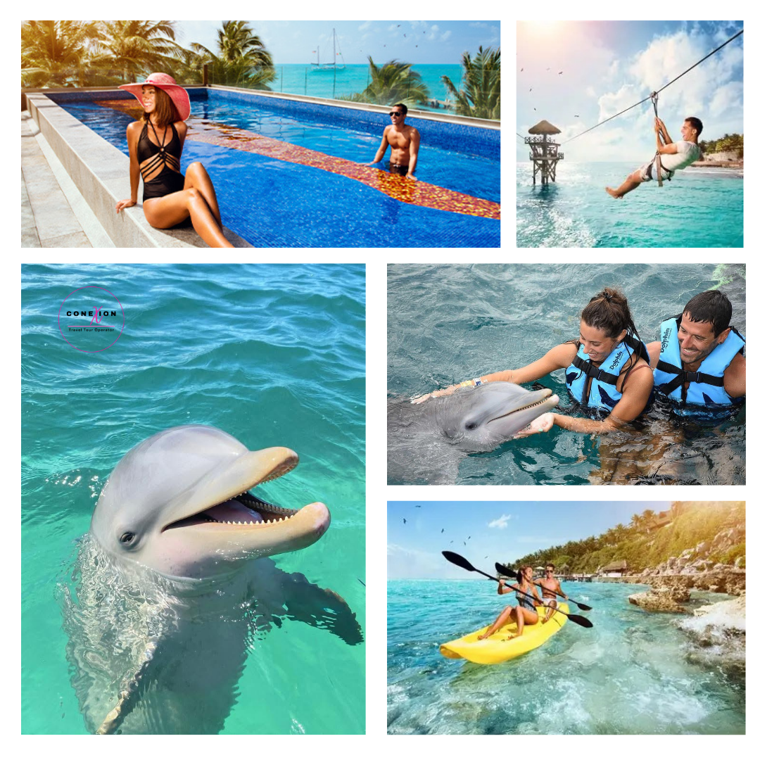 Dolphin Connection + Garrafon Park Admission Royal