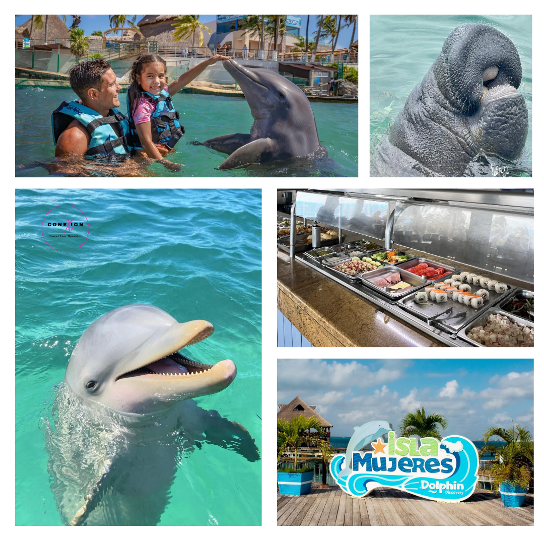 Dolphin Connection Isla Mujeres, Cancun