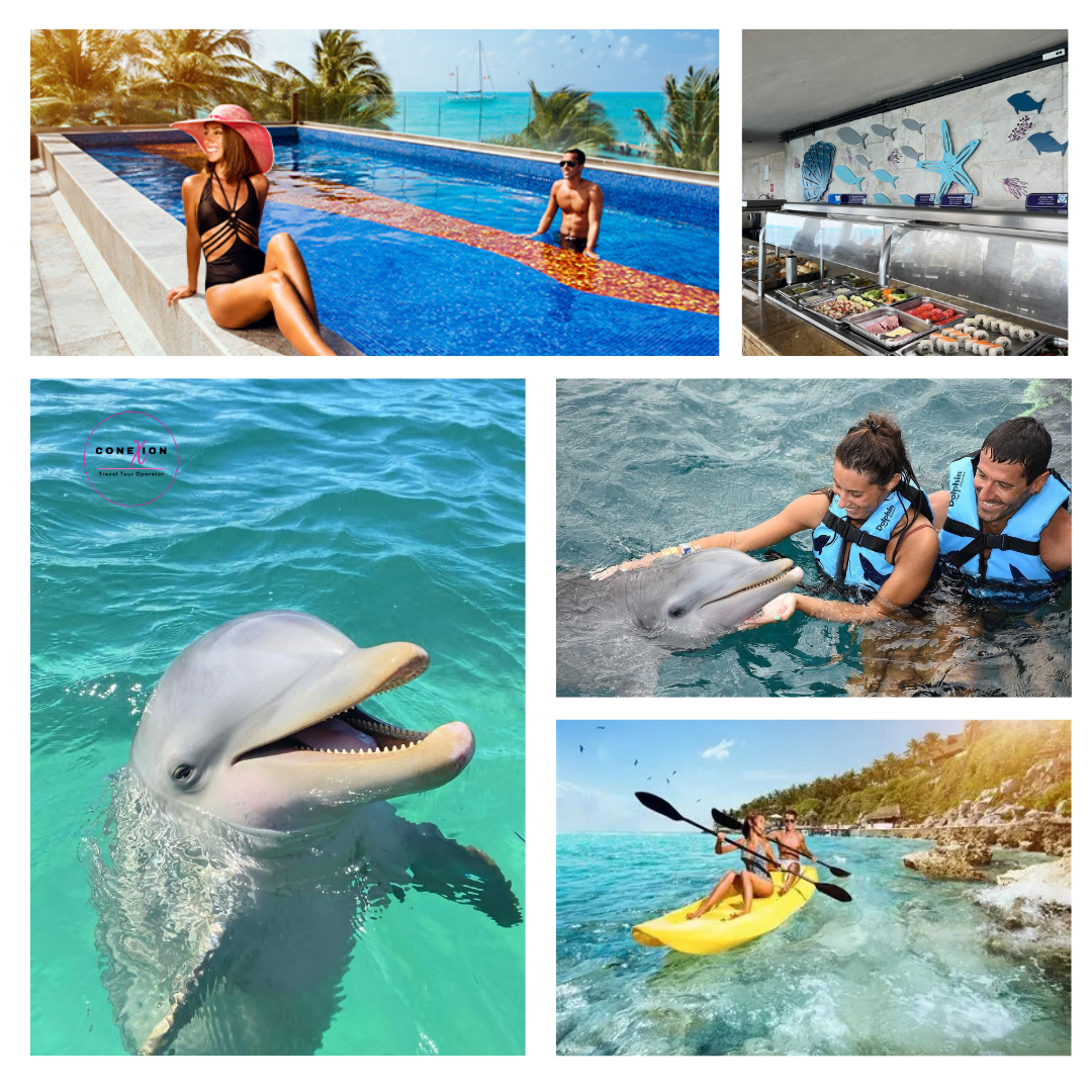 Dolphin Encounter + Royal Garrafon Park At Isla Mujeres, Cancun