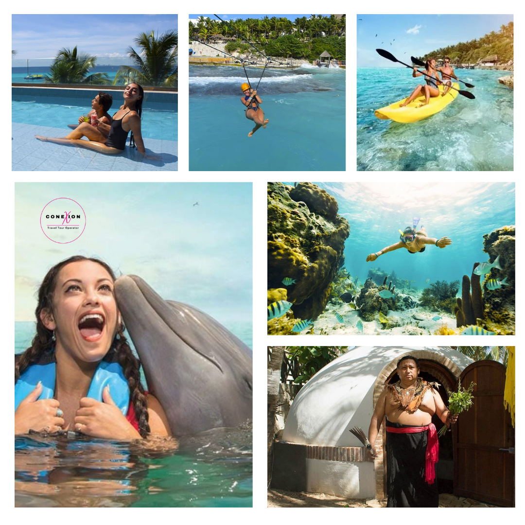 Dolphin Royal Connection + Garrafon Park Admission VIP