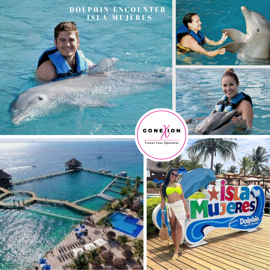 Dolphin Encounter at Isla Mujeres 