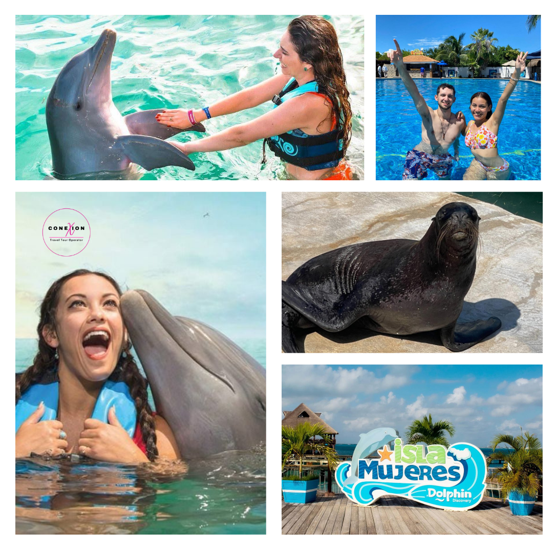 Dolphin Royal Connection Isla Mujeres, Cancun