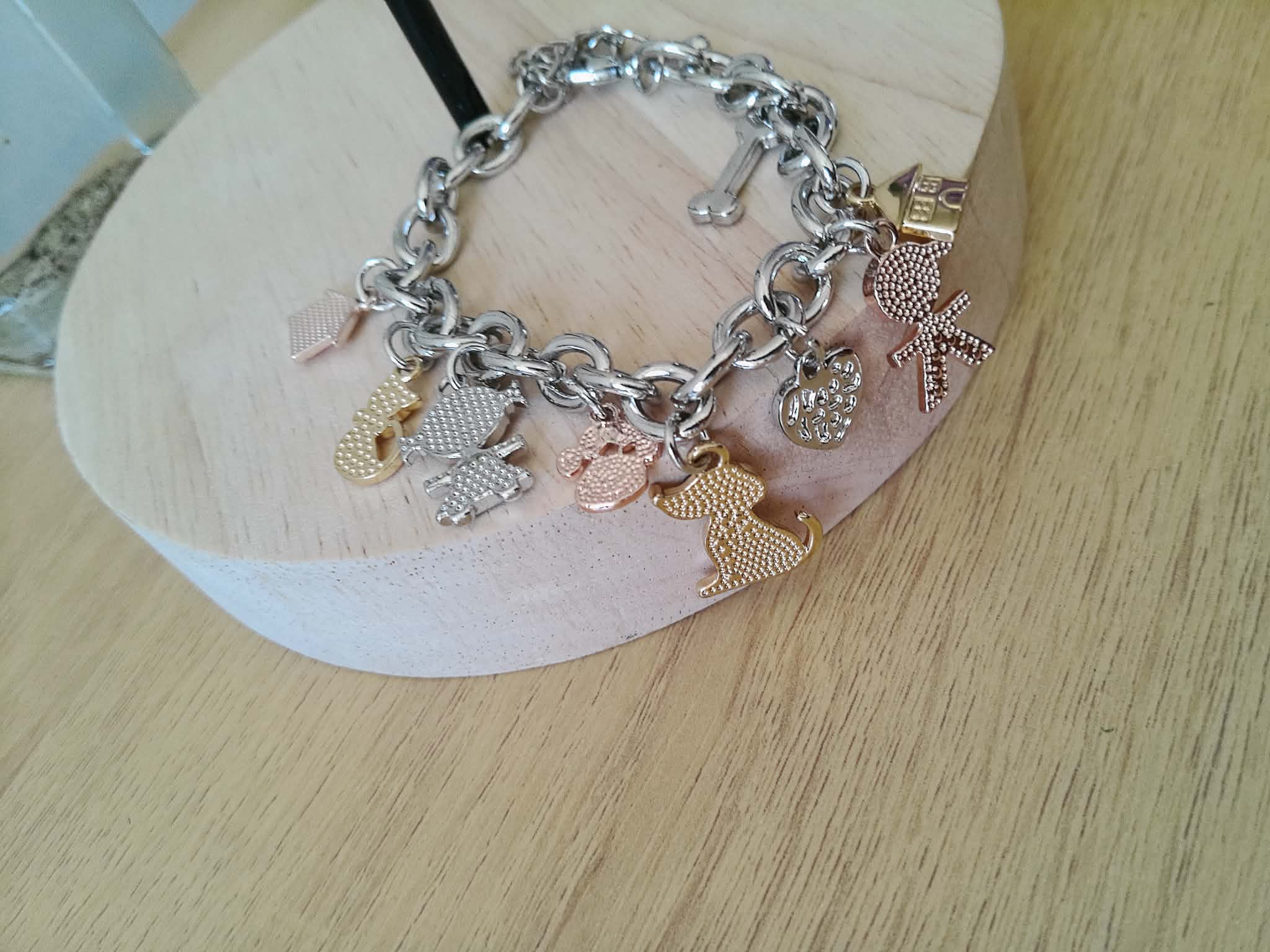 Pulsera Charms – Familia y Mascotas 🐾✨