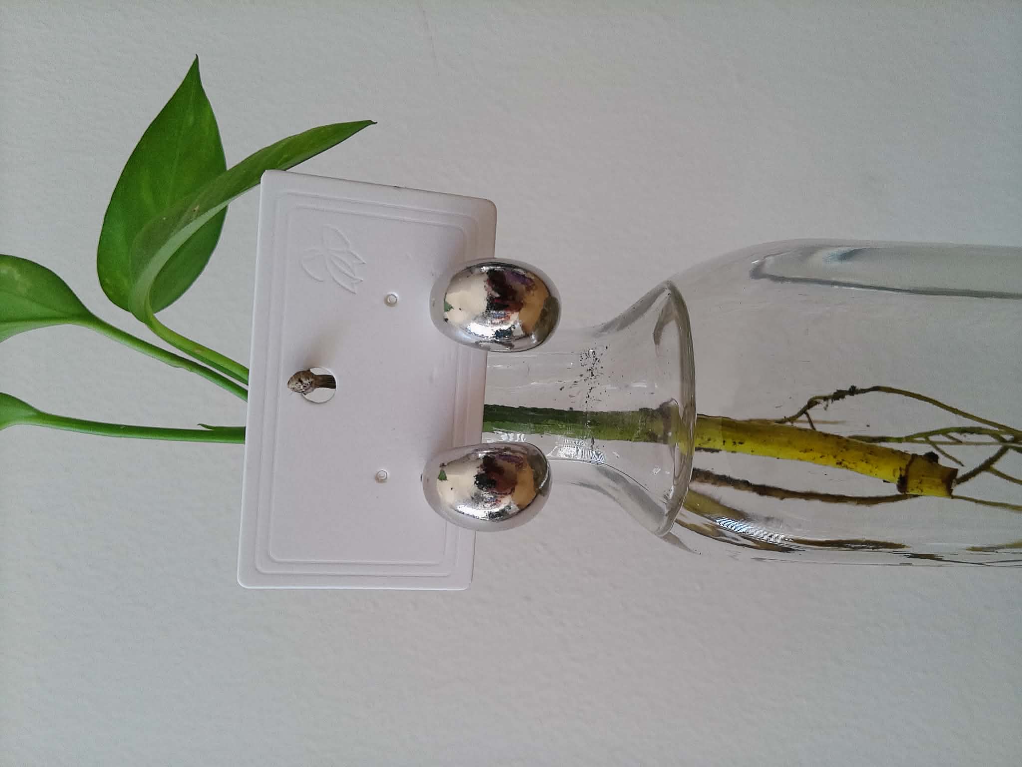 Arete Media Luna 🌙🤍🕊️