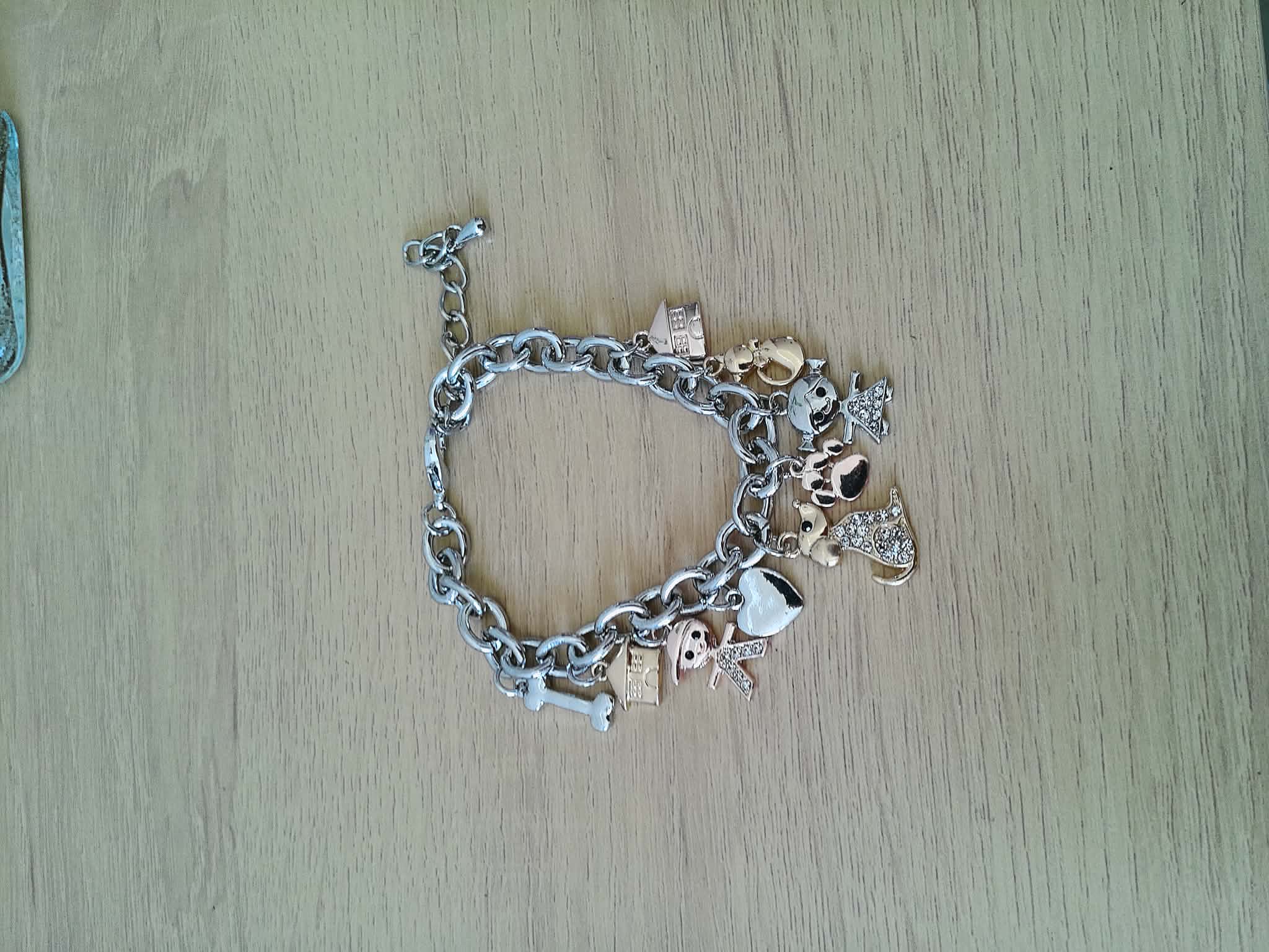 Pulsera Charms – Familia y Mascotas 🐾✨