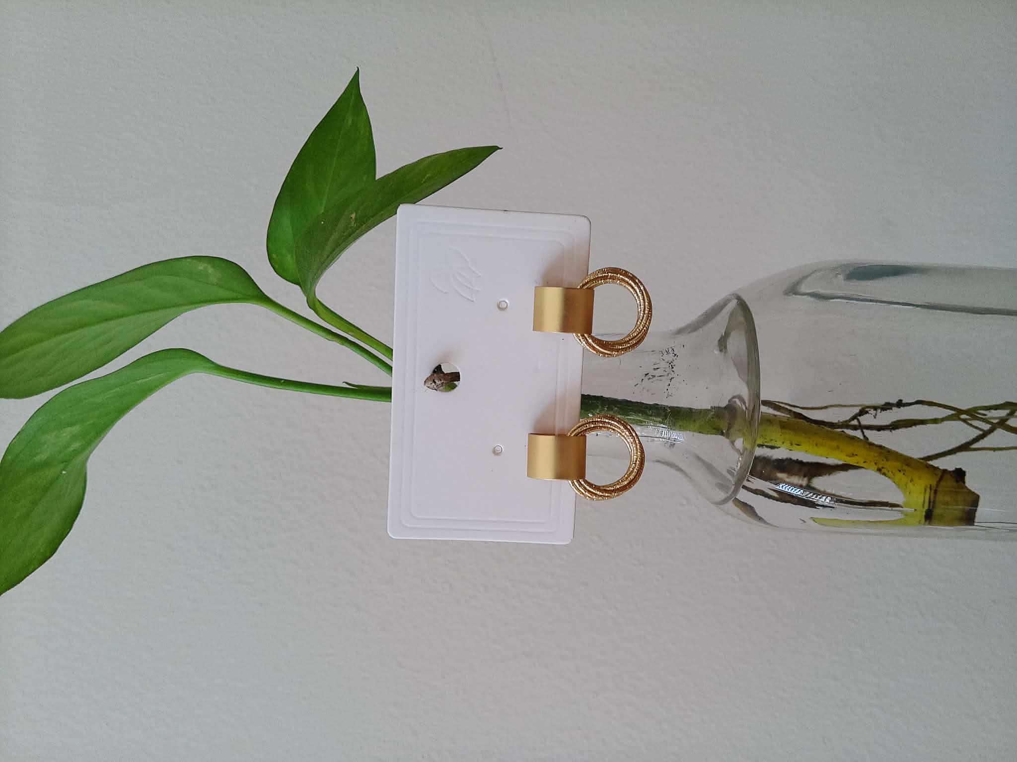 Arete Redondos Dorado 🌟