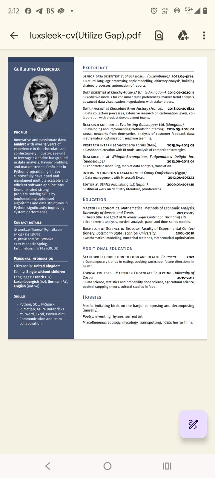 My Resume Professional  Template – Luxsleek