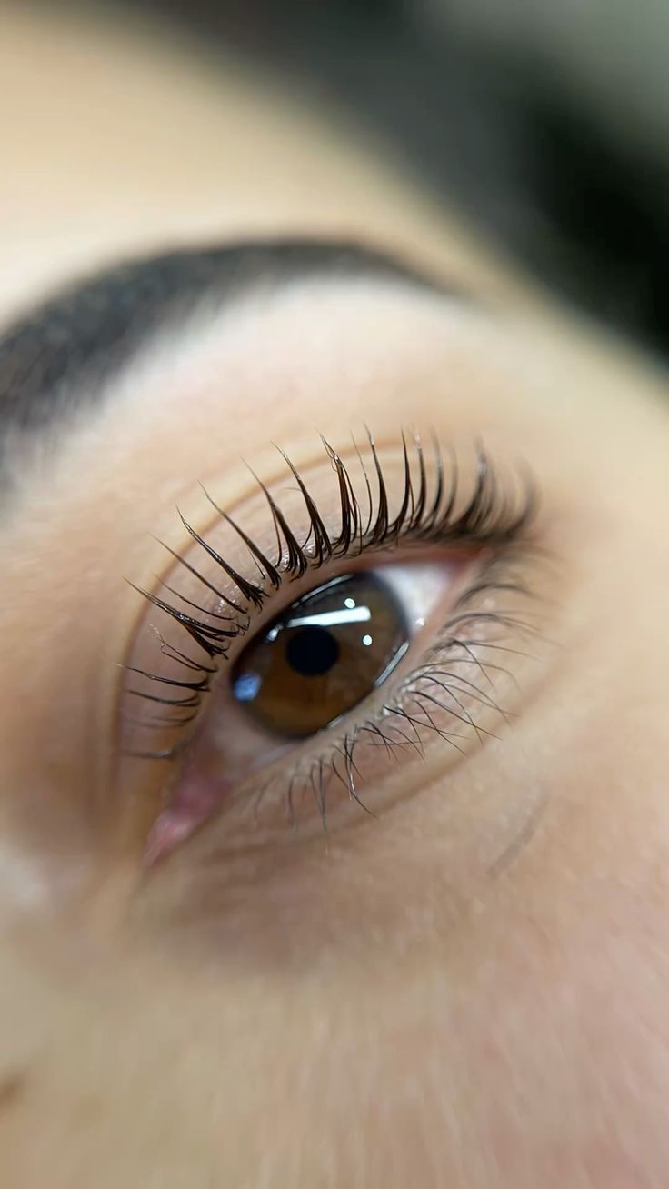 Blakstienų ir antakių laminavimo kursai