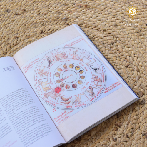 Astrology Consultation