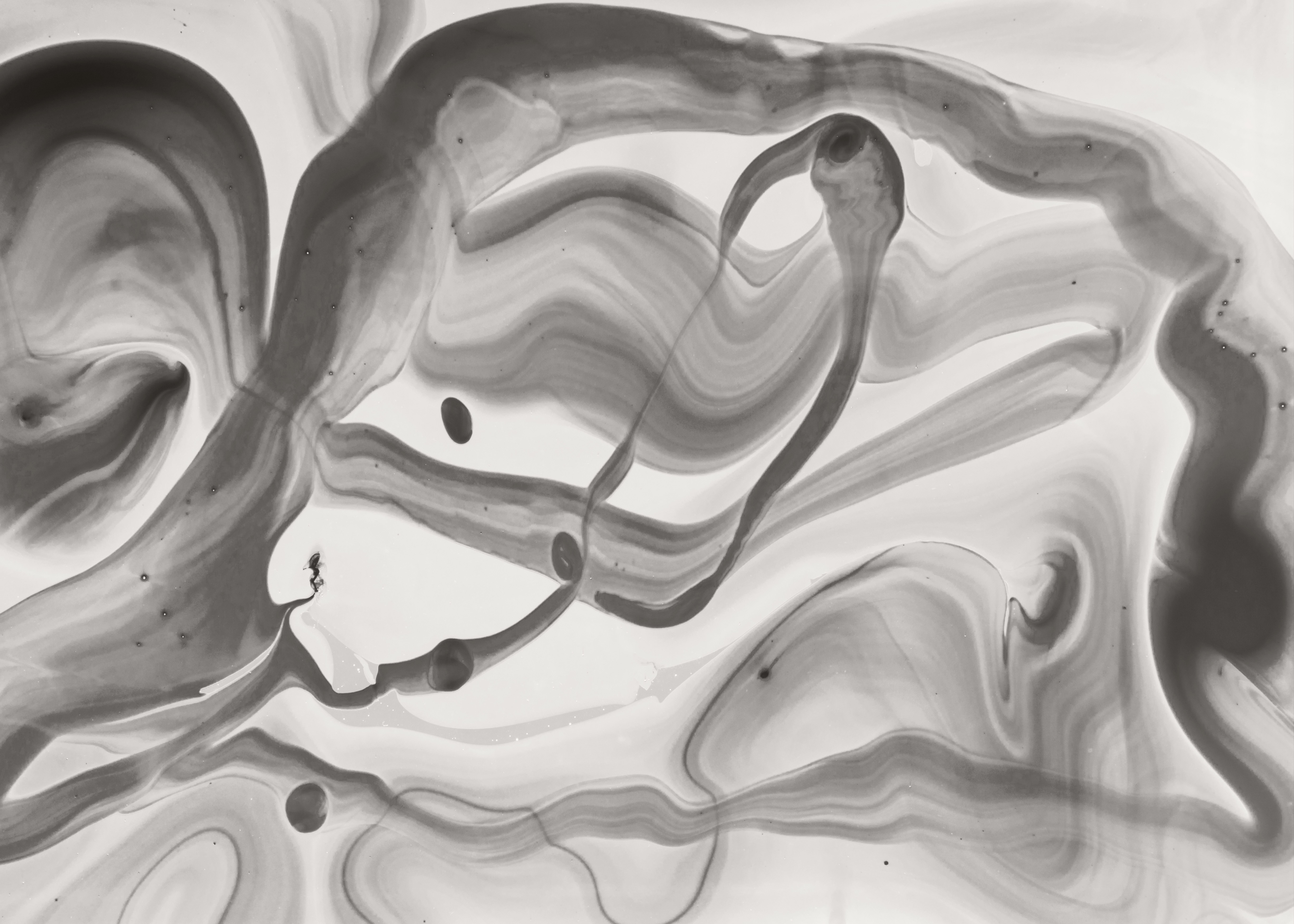 STAY: Somatic Meditations To Strenghten Your Inner Ground