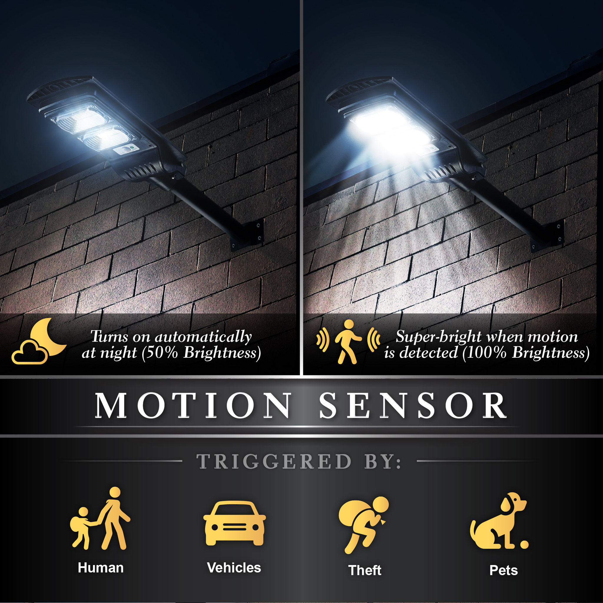 Solar Motion Sensor LED Street Light