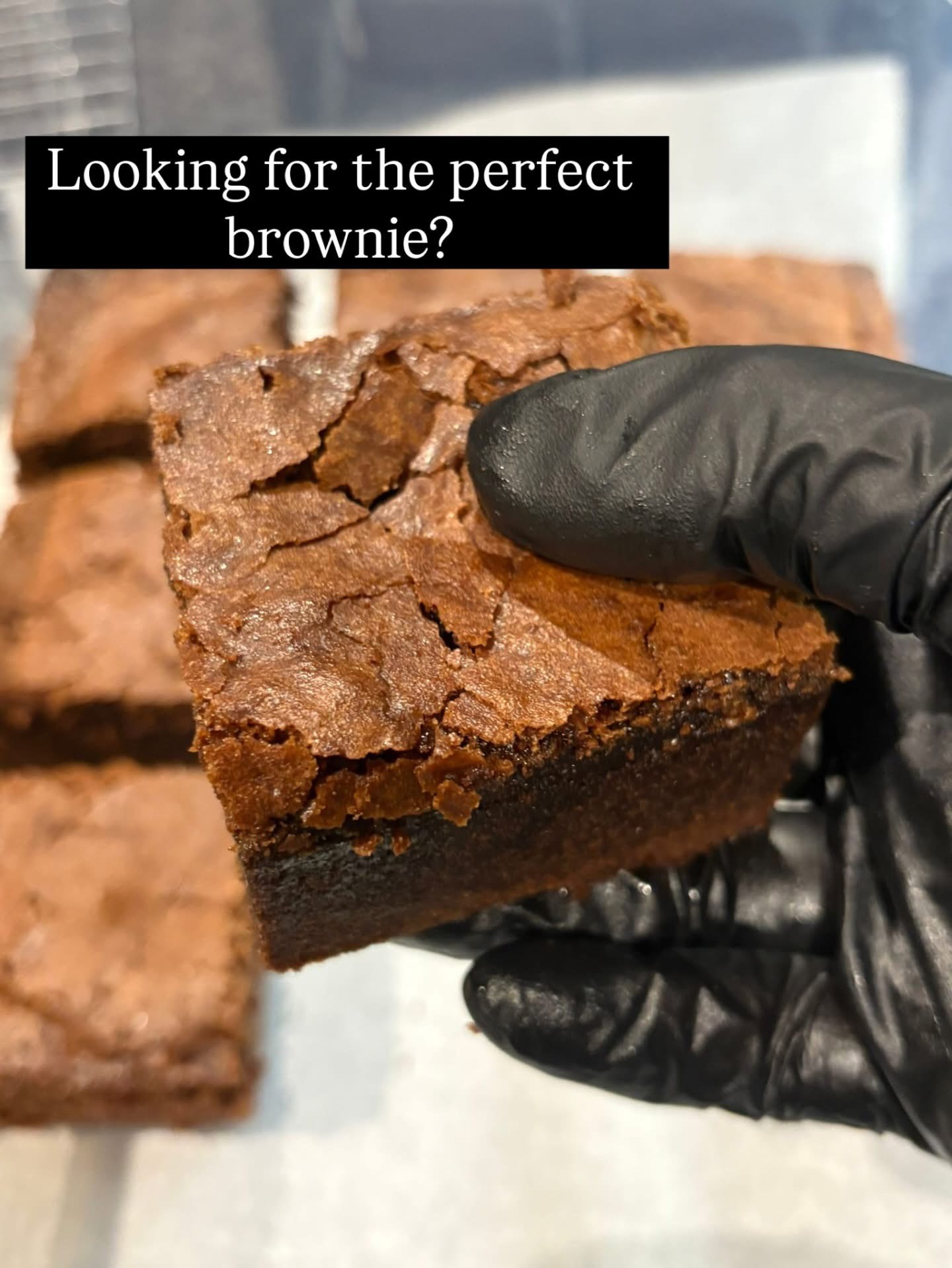 Chocolate Fudge Postal Brownie Box 