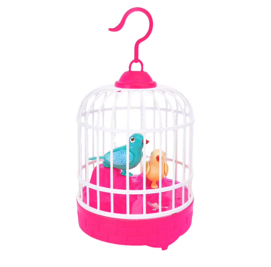 Bird Cage