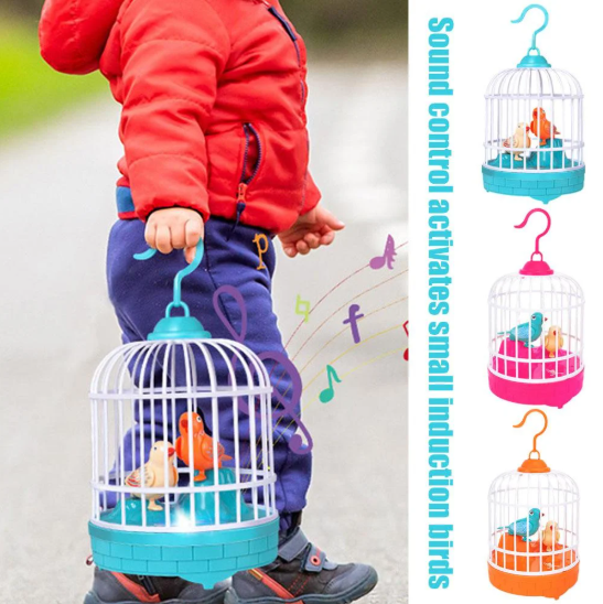 Bird Cage