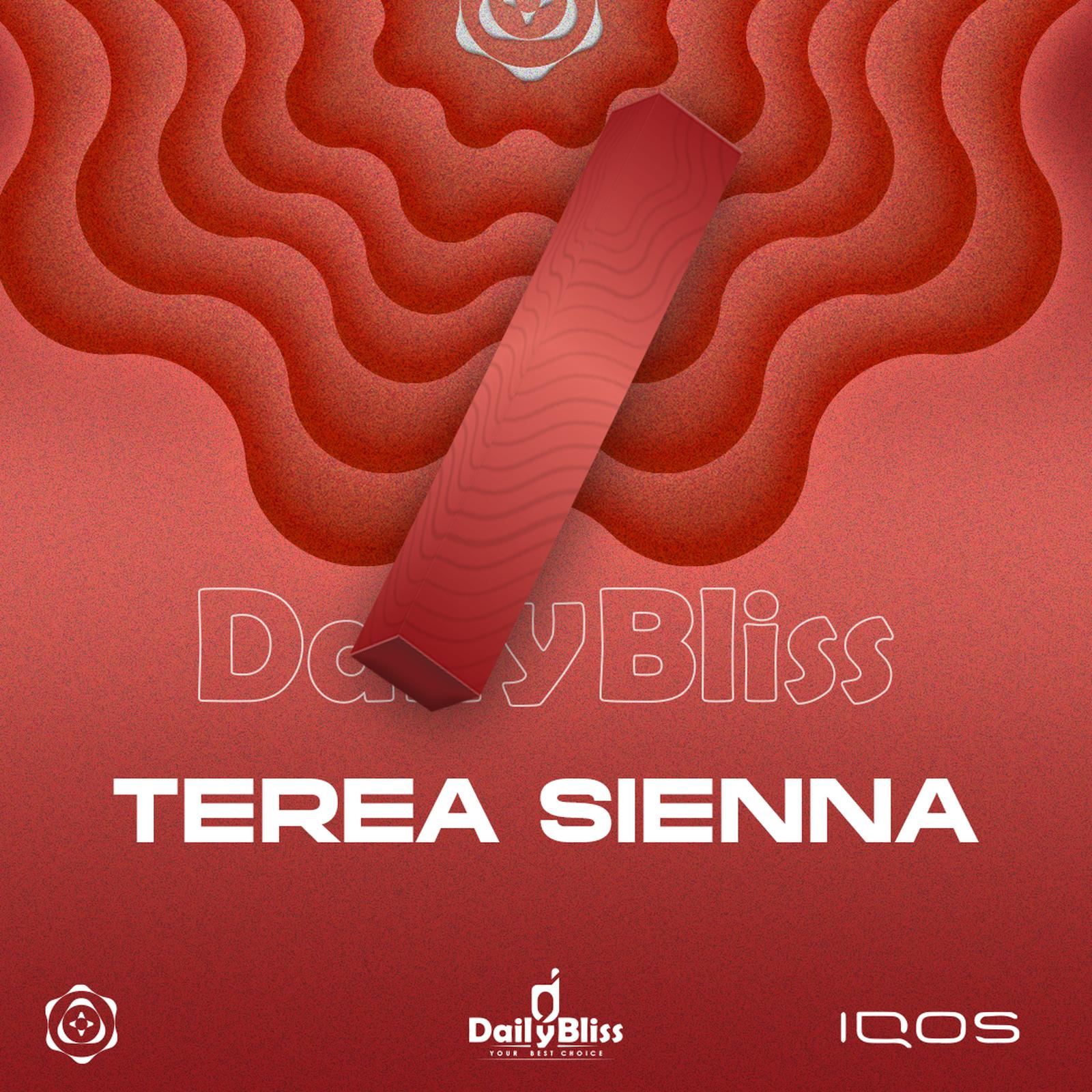 TEREA ILUMA SIENNA INDONESIA