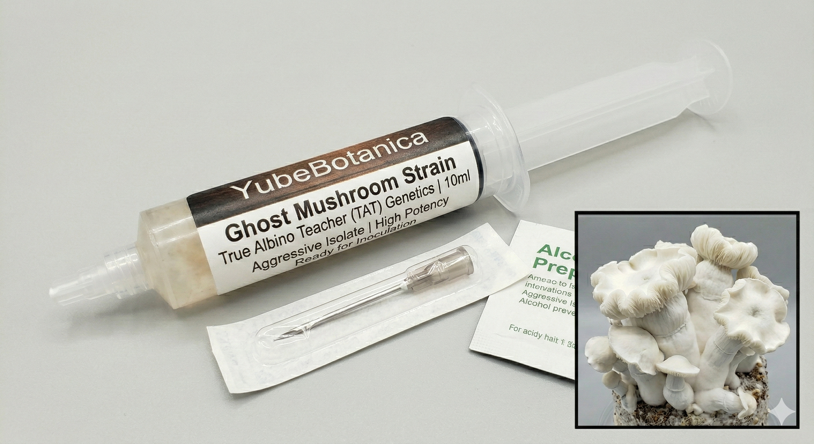 Ghost (TAT Isolate) | High-Potency Liquid Culture
