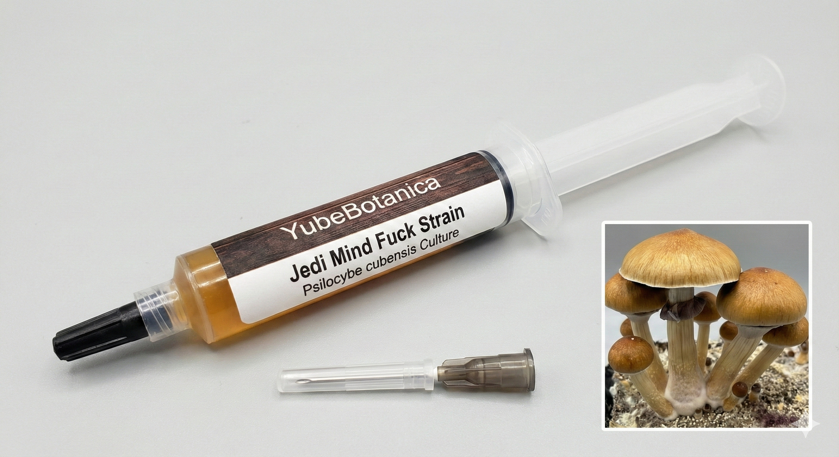 Jedi Mind Fuck Liquid Mycelium India – The Strongest Modern Strain | 10ml Syringe