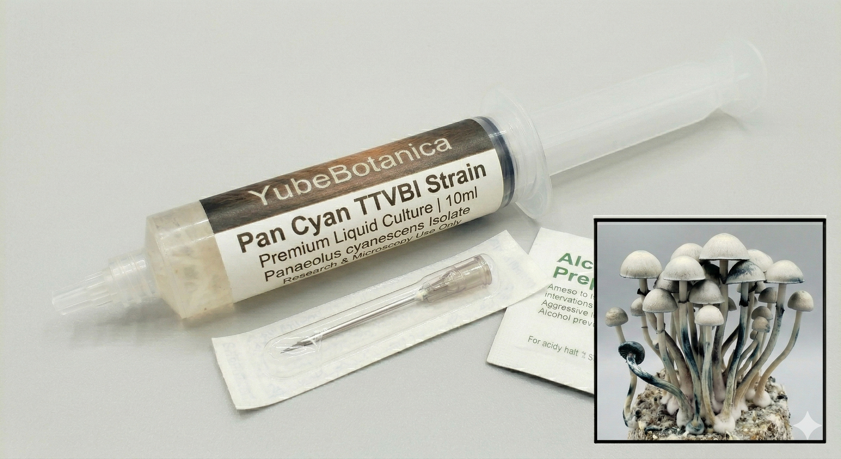 Pan Cyan TTVBI | Premium Liquid Culture (10ml)