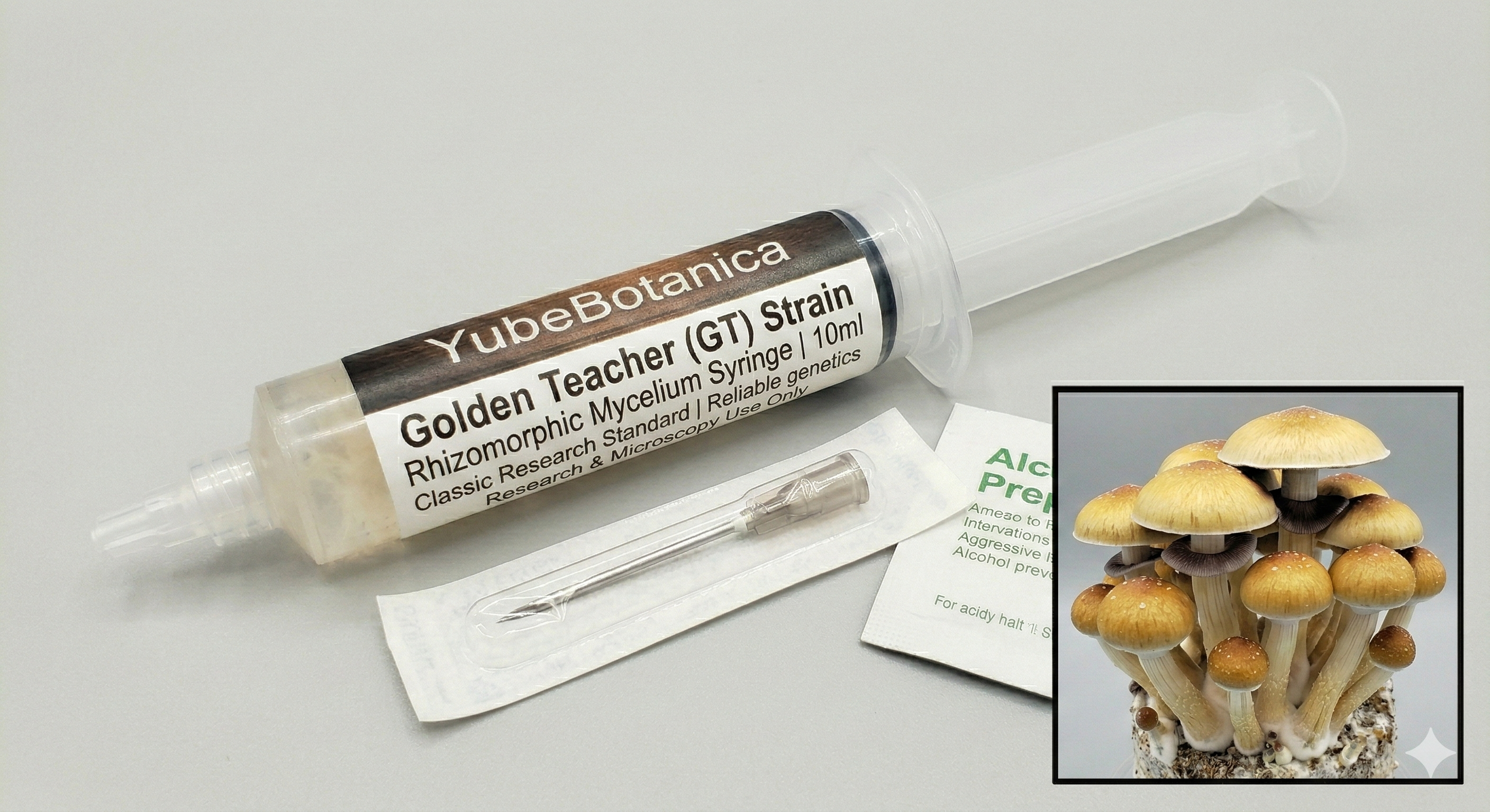 Golden Teacher (GT) | Premium Liquid Culture