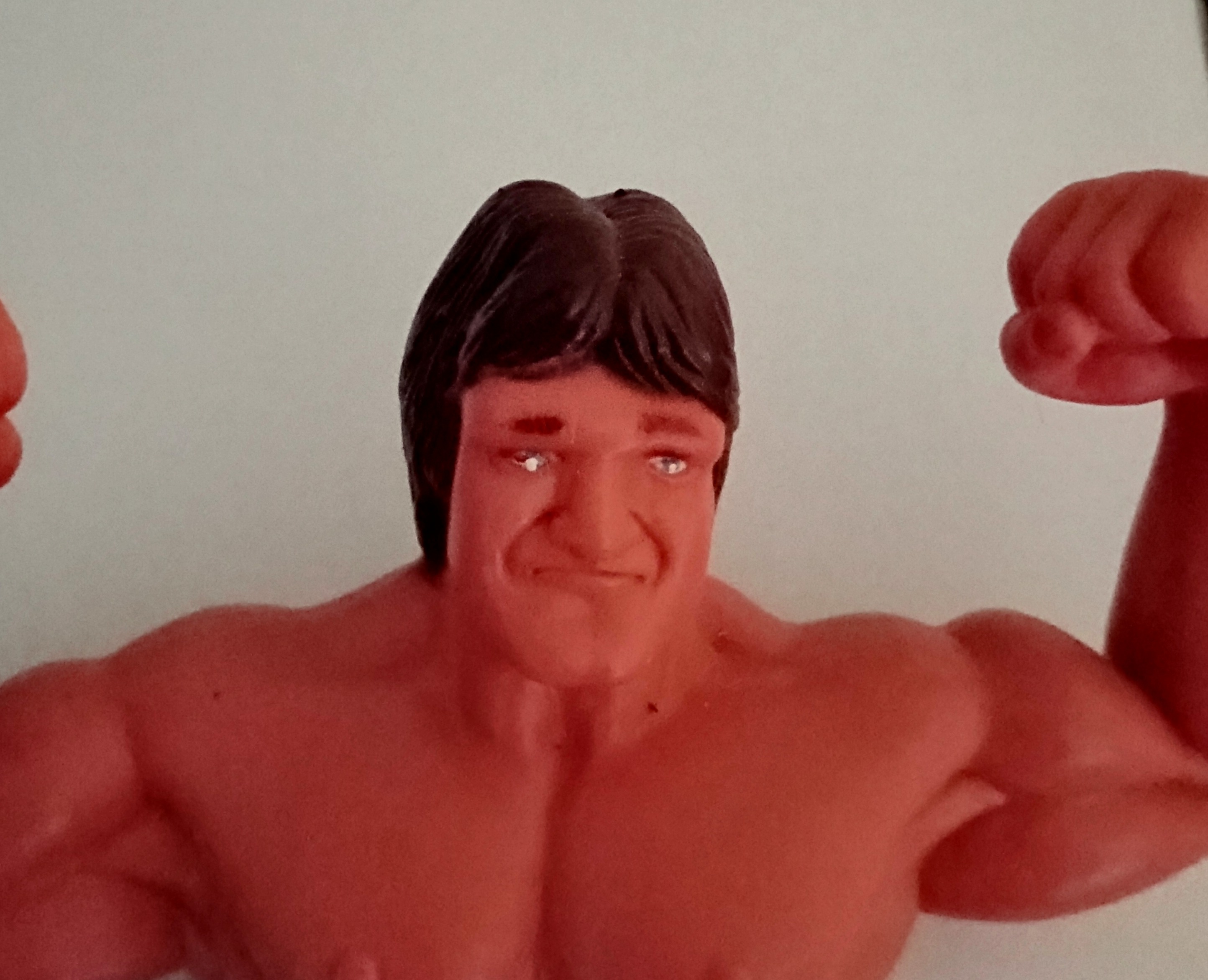 Paul Mr. Wonderful Orndorff 1985 WWF LJN Titan Sports 8" Wrestling Superstars