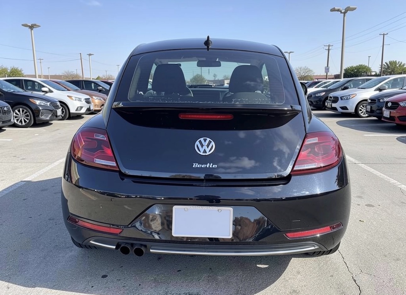 2019 Volkswagen Beetle 2.0T Final Edition SE 🤘